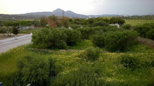 Apartamento Stolidi