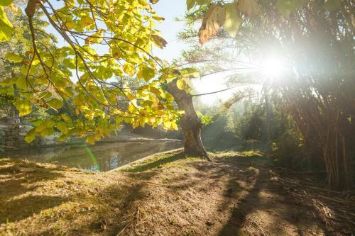 Agroturismo Quinta Da Bou�a