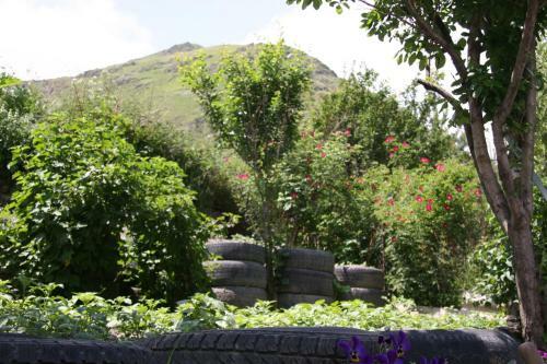 Hostal Guest House Sabauri