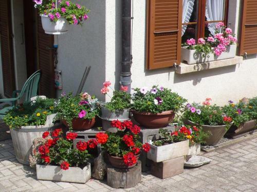 Apartment Staad Dudingen