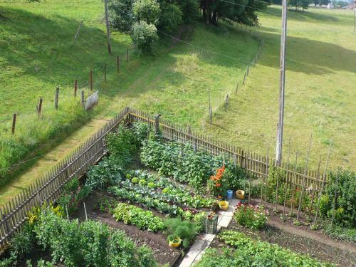 Apartment Staad Dudingen
