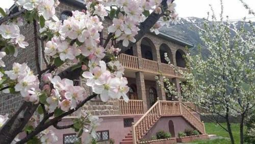 Hostal Gogi Alibegashvili Guesthouse