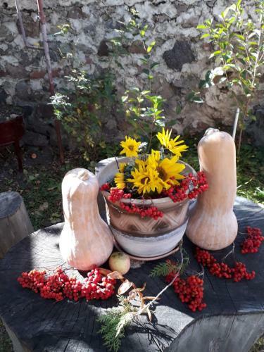 Hostal Gogi Alibegashvili Guesthouse