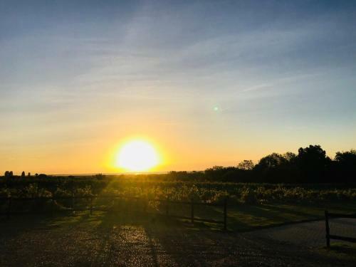Hotel Mersea Island Vineyard