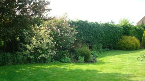 Bed & Breakfast The Homestead Hopperton