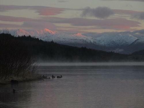 Apartamentos Loch Aweside Forest Cabins