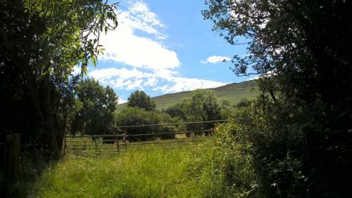 White Haywood Farm Restaurant With B&B