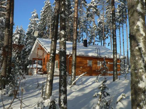 Lodge Kapiaisen Lomam�kit
