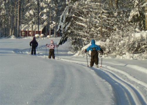 Lodge Kapiaisen Lomam�kit