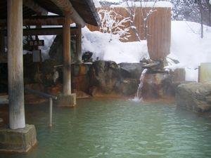 Hotel Ryokan Ontake