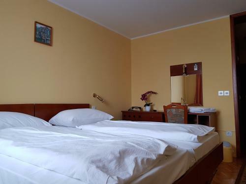 Hotel Ro?kar