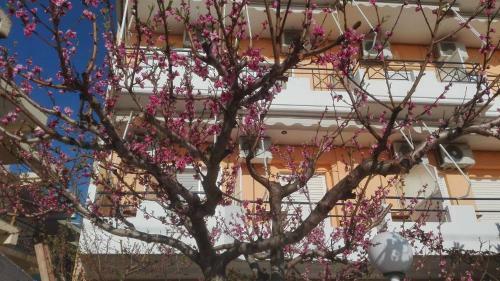 Faros Apartments