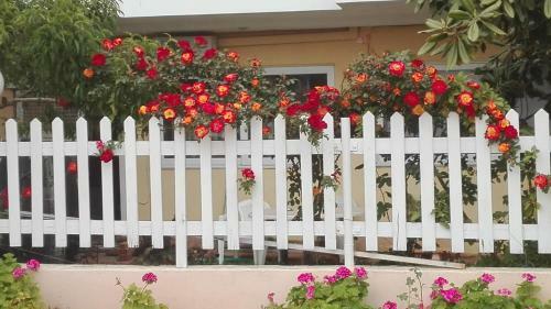Faros Apartments
