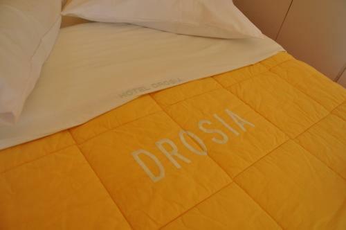 Hotel Drosia