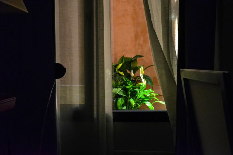 Hotel Aguilas 5 Sevilla Suites