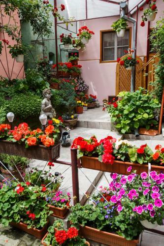 Hostal Pension Pivnita Lui Teo