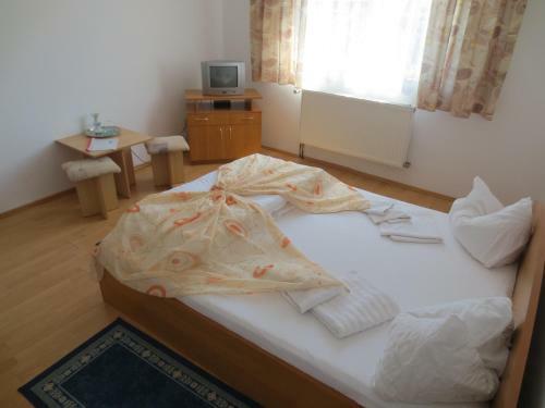 Hostal Pensiunea Hera