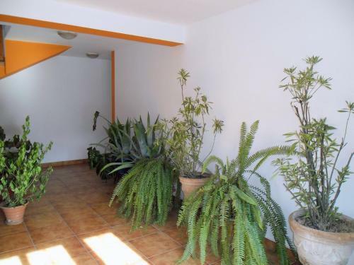 Hostal Pensiunea Hera