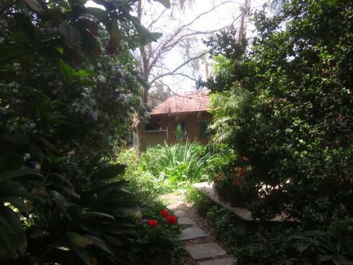Villa Haigol Hapnimi