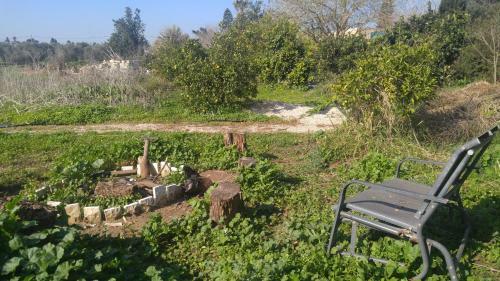 Villa Haigol Hapnimi