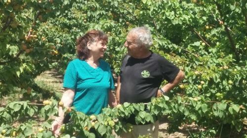 Agroturismo Nuriel Fruit & Guest House