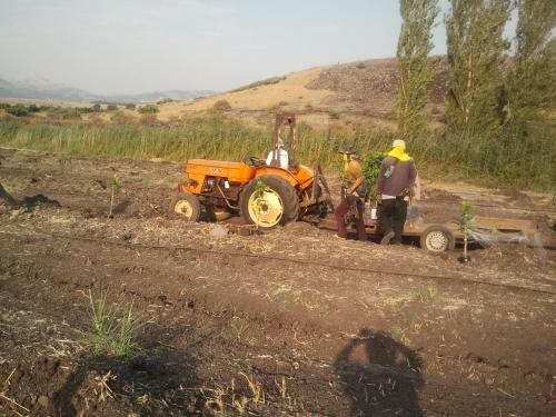 Agroturismo Nuriel Fruit & Guest House