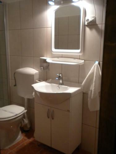 Hostal Pensiunea Lelila Inn