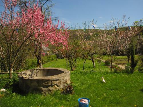 Hostal Pensiunea Sighisoara