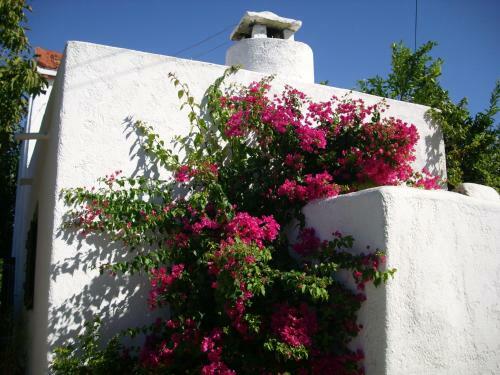 Villa Patriko Country House