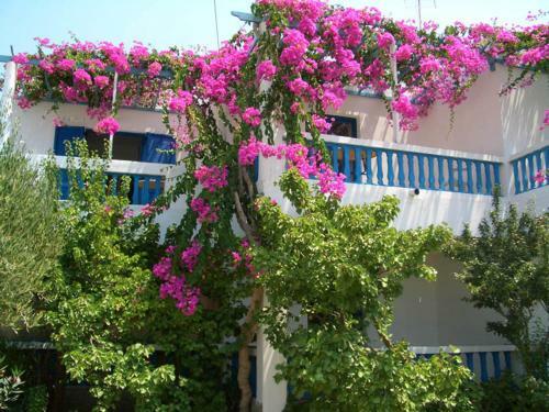 Akrogiali Apartments