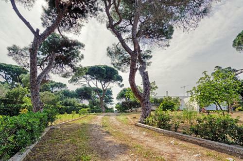 Villa Hoopoe