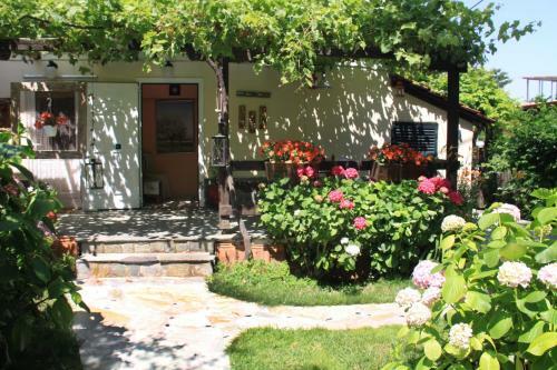 Apartamento Fasoli Studios