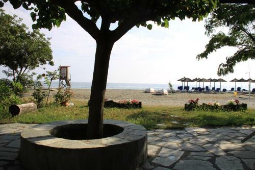 Apartamento Fasoli Studios