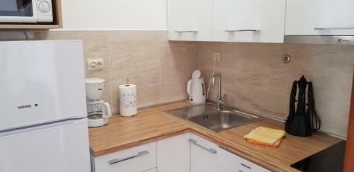 Apartments Bicakcic