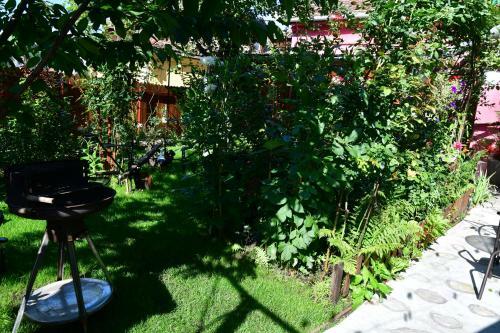 Hostal Pensiunea Cristina Si Pavel
