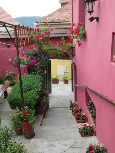 Hostal Pensiunea Cristina Si Pavel