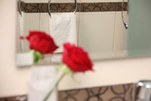 Hotel Bistrita