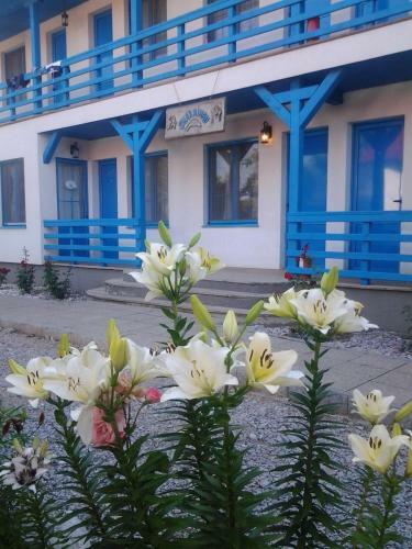 Hostal Pension Sharaiman