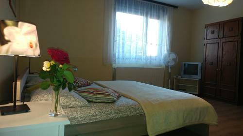 Hostal Apartment Cecilia Koprivnica