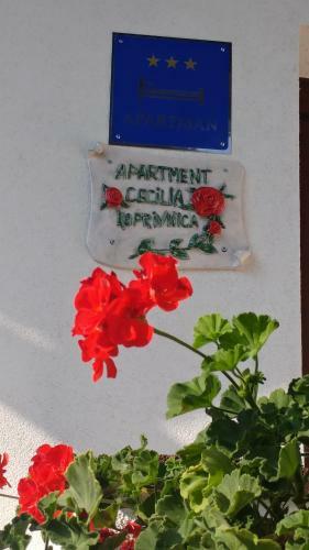 Hostal Apartment Cecilia Koprivnica