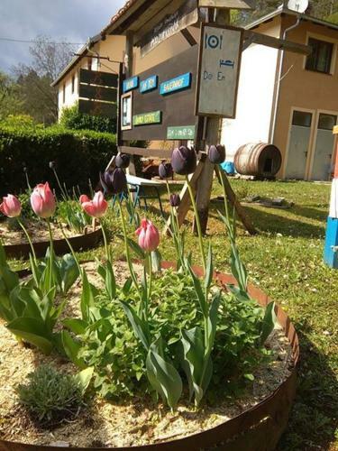 Hostel Flores