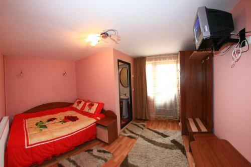 Hostal Pensiunea Valea Ursului