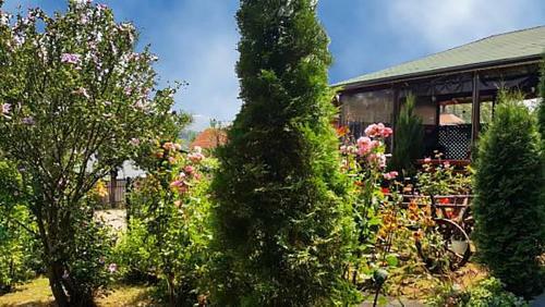 Hostal Pension Piscul Soarelui