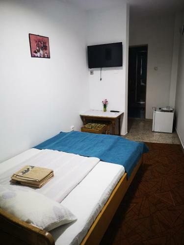 Hostal Pensiunea Mikelis International