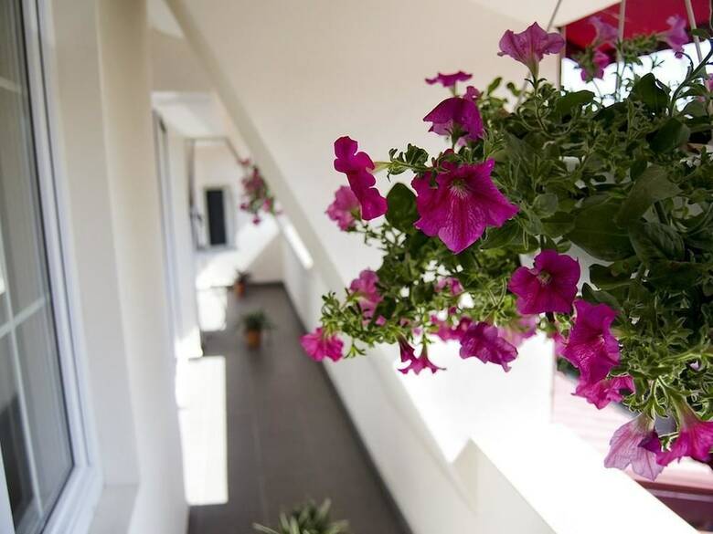Tranzzit Hotel