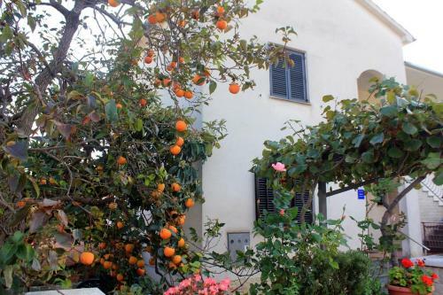 Apartments With A Parking Space Novigrad - 2552
