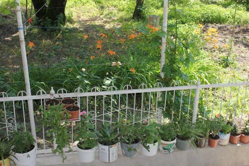 Vaqif's Guest House