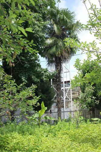 Vaqif's Guest House