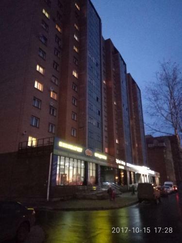 Apartment Moskovskiy 45