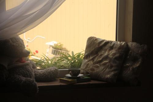 Hostal Uyutny Guest House